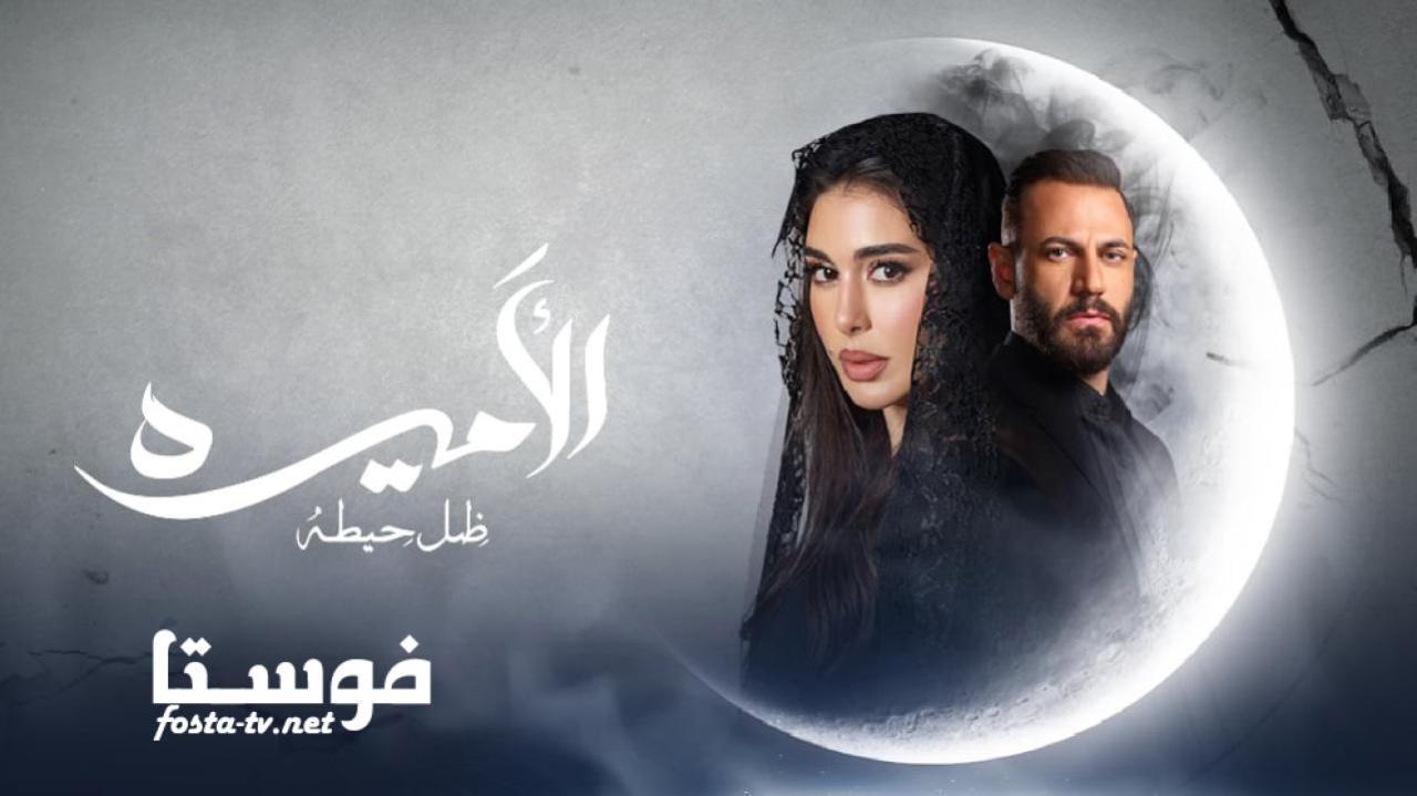 مسلسل الأميرة: ضل حيطة الحلقة 16 السادسة عشر